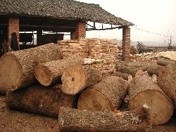 �c���鿴���ľ(ֱ��20-80)�Ŵ�DƬ