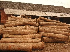 �c���鿴��ľԭľֱ��(20-60CM)�Ŵ�DƬ