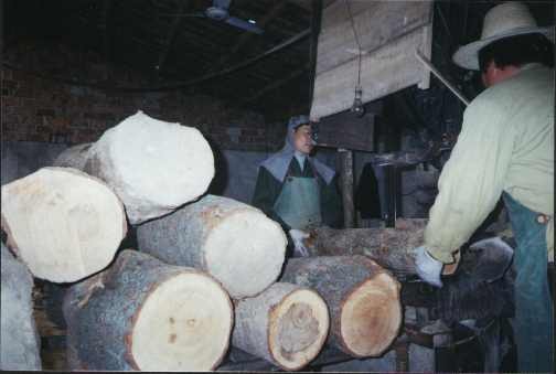 ��_��Ԕ��(x��)��B