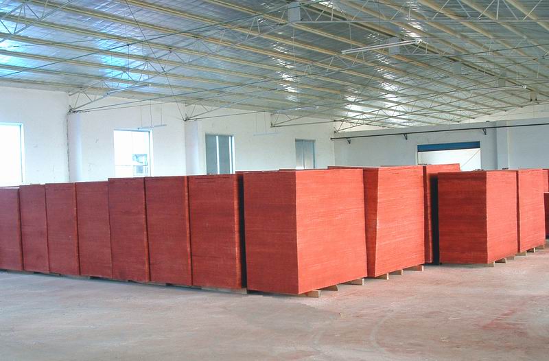 ����ɭ���ƽ���ģ���Ԕ����B