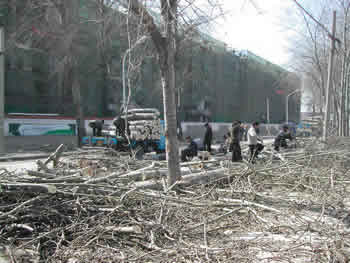 �ח���Ԕ����B