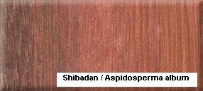 Shibadan��Ԕ����B