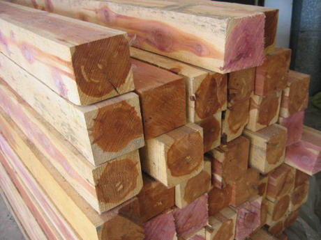 �����t��ɼ/Red cedarԭľ�Ͱ�ĵ�Ԕ����B