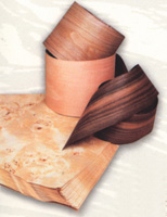 ����ľƤ��Ԕ��(x��)��B