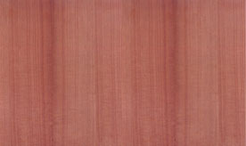 ӭ�����ă�(y��u)�ݻ��(d��ng)���z�ϰ� �b��N����Ԕ��(x��)��B