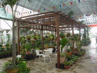 ���ȵ�Ԕ����B