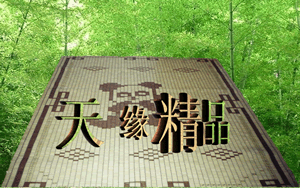 �쾉��Ʒ��Ԕ����B