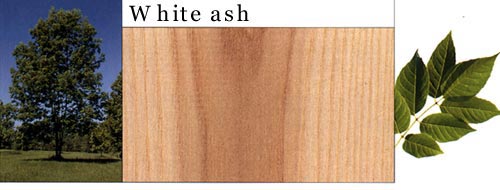 White Ash ˮ������Ԕ��(x��)��B