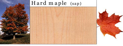 Hard Maple Ӳ����Ԕ��(x��)��B