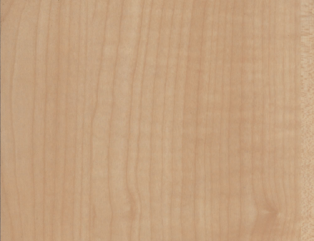 �P(y��ng)�ӽz�I�濹�����e��(qi��ng)���ذ��Ԕ��(x��)��B