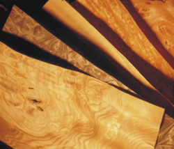 ��ľľƤ��Ԕ����B