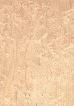 ��ľ�N���Ԕ����B