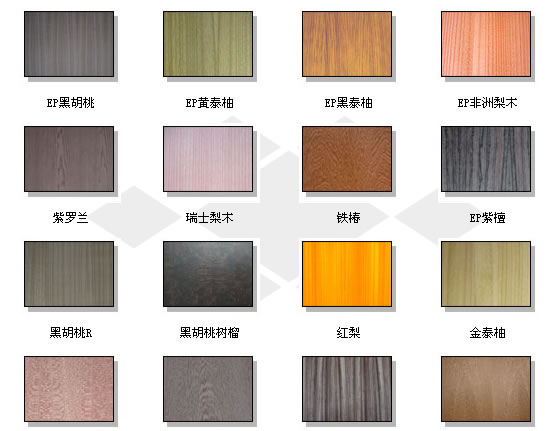 EP���Ԕ��(x��)��B