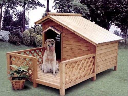 Ȯ�ᣨ������)���(y��ng)�_(t��i) DOG HOUSE WITH BALC��Ԕ��(x��)��B
