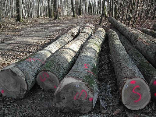 ��(gu��)��ľ��Ԕ��(x��)��B