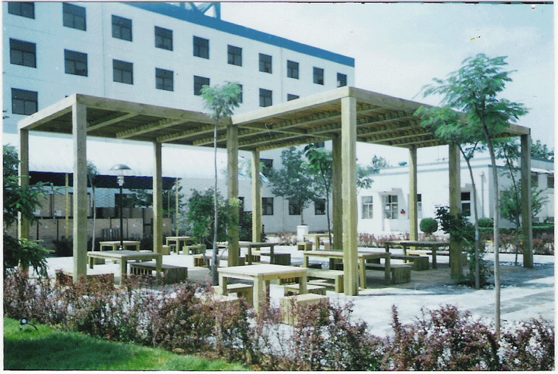 ����ľ��Ԕ����B