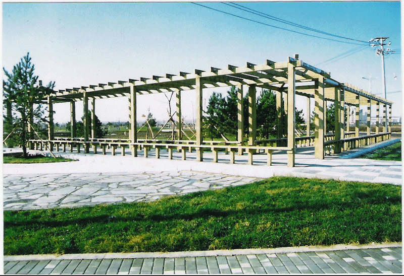 ����ľ��Ԕ����B