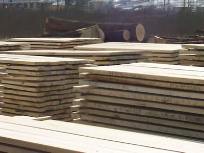 ��ľ��ĵ�Ԕ����B