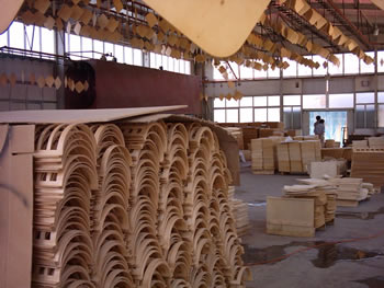 bend wood facty