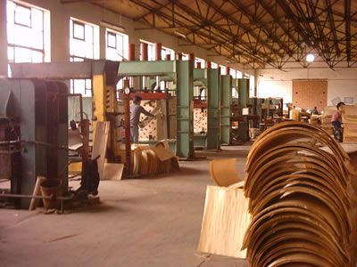 bend wood furniture facty