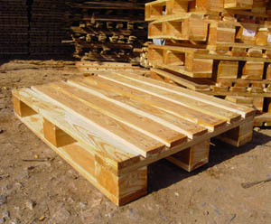 ����ľ�бP��Ԕ��(x��)��B