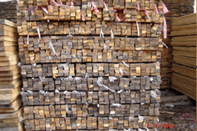 ����l��Ԕ����B