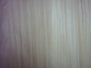 ͩľƴ���Ԕ����B