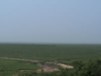 �����h(yu��n)����Ԕ��(x��)��B