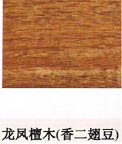 ����ᶹ��Ԕ��(x��)��B