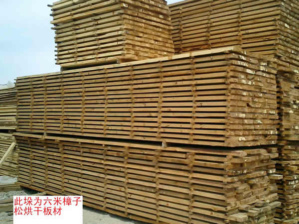 ��ĵ�Ԕ����B