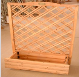 �c���鿴���Ż���Ŵ�DƬ