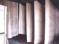 �c���鿴1�Ŵ�DƬ