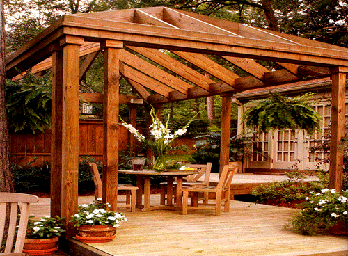 ͥԺ�@ˇ��Ԕ��(x��)��B