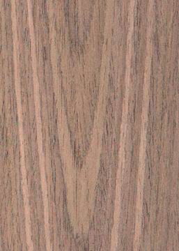 E.V.�ں���#105Q