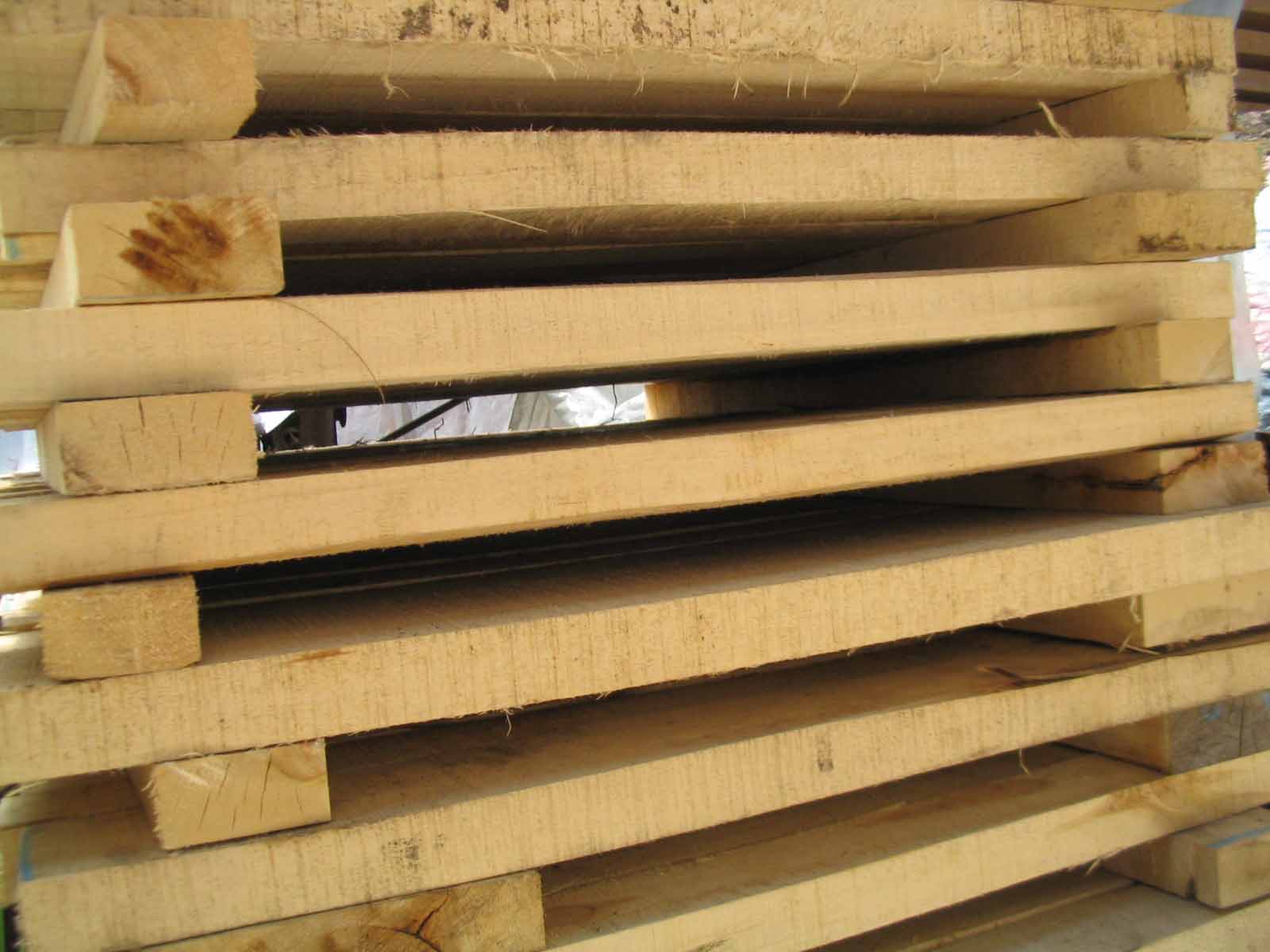 �דP(y��ng)�����P(y��ng)����������